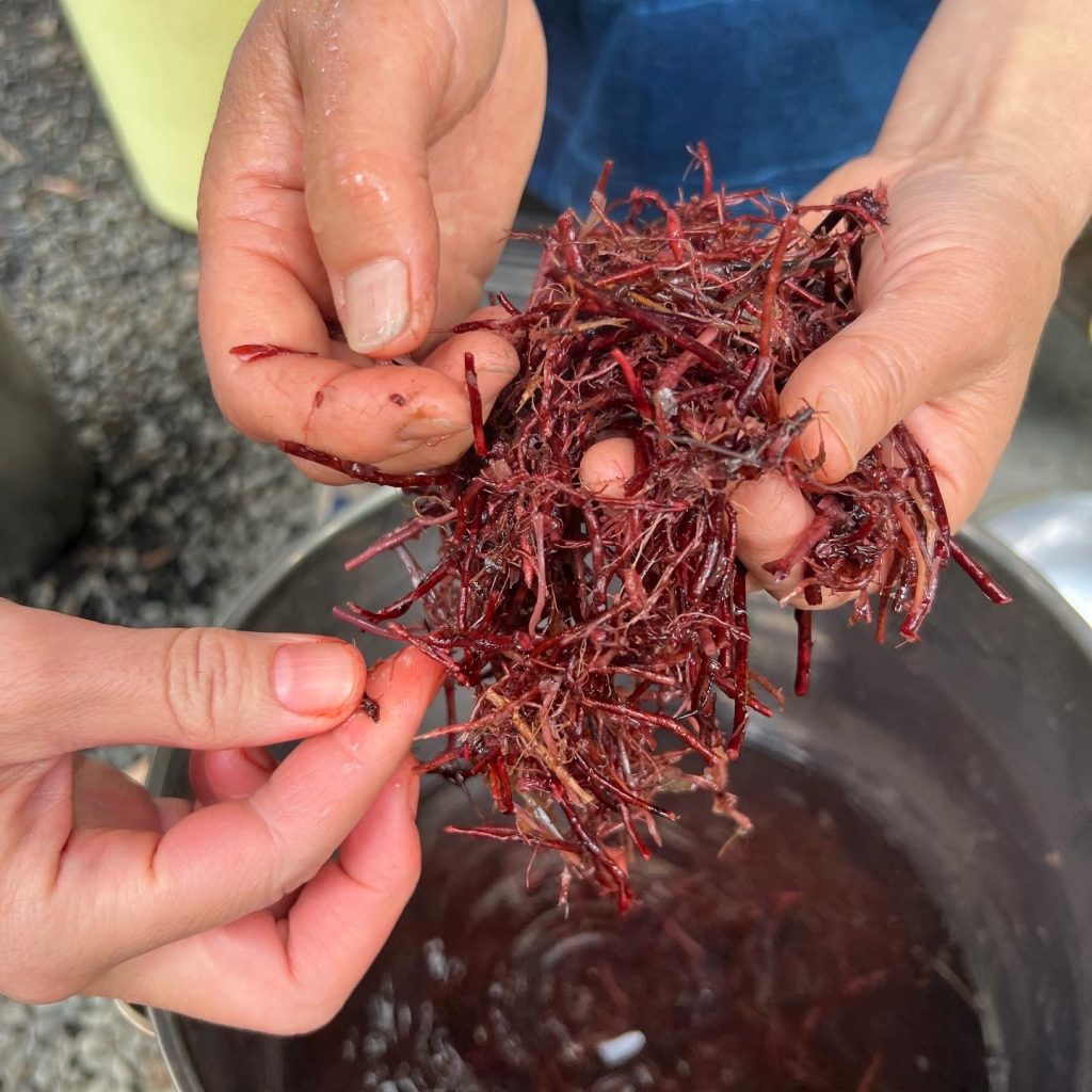 由良野の森で草木染め 華布 Hanafu 由良野の森で草木染め 華布 Hanafu